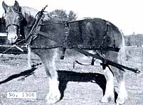 New England D Harness